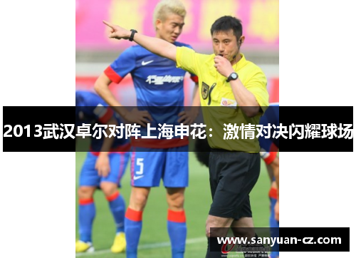 2013武汉卓尔对阵上海申花：激情对决闪耀球场