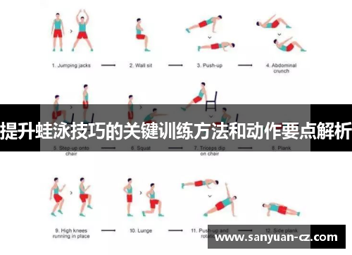 提升蛙泳技巧的关键训练方法和动作要点解析