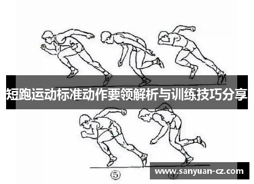 短跑运动标准动作要领解析与训练技巧分享
